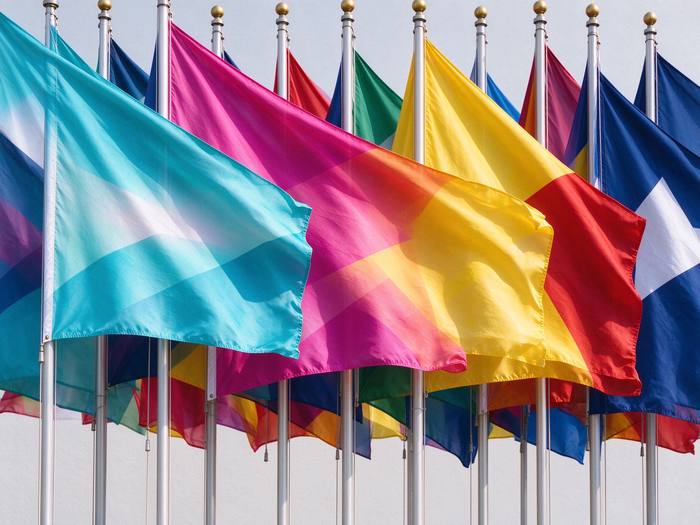 Custom printed flags and pennants